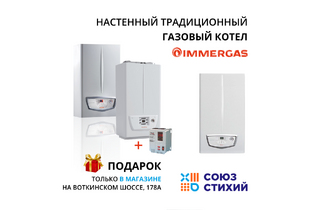 Котел настенный двухконтурный IMMERGAS NIKE MYTHOS 24 5R