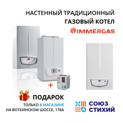 Котел настенный одноконтурный IMMERGAS NIKE MYTHOS Х 24 5R